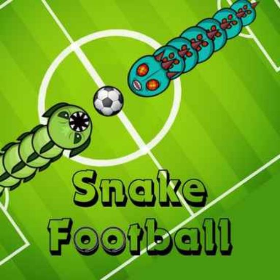 Picture of Snake Football